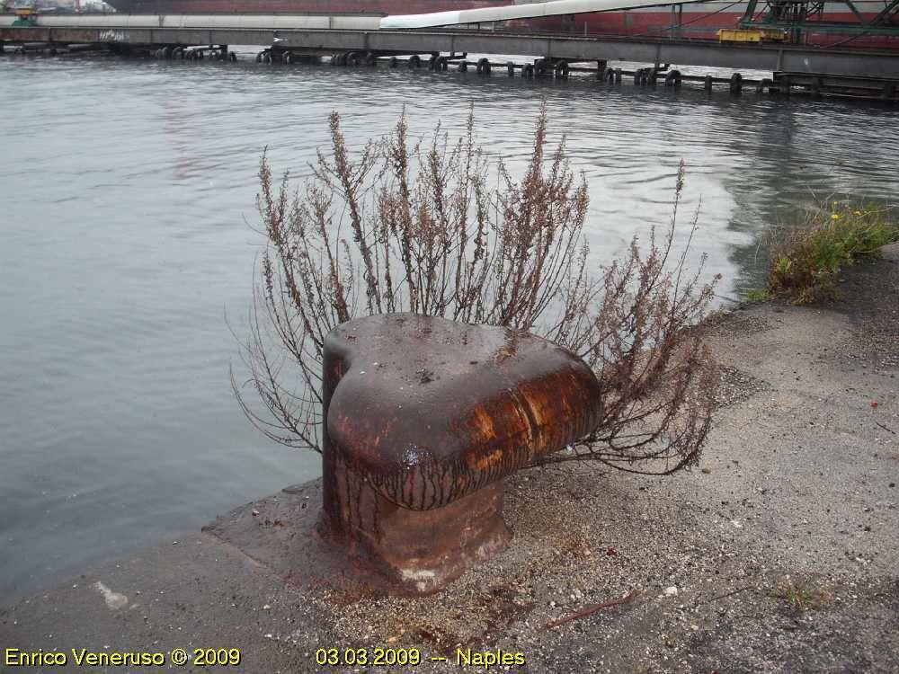 1 - La bitta disoccupata - The bollard unemployed.jpg